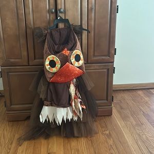Owl Halloween costume